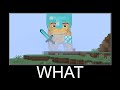 Minecraft WAIT WHAT meme 24/7 Livestream #378