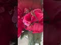 Dollar tree is ready for mother's day.Here's some artificial flowers#shortvideos
