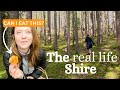 A day in the life in the czech countryside foraging for the first time