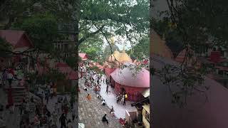 IMG 6963 MOV