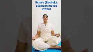 100 Saal Jeene Ka Yogic Raaz 🌿| Yogic Breathing Explained| #yoga #yogicbreathing #pranayama #secret