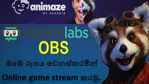 How to add Animated face Rig/Animated Avatar for OBS - Sinhala