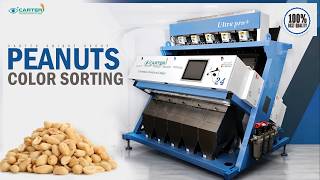 Peanuts Color Sorting | Unique Carter group call at 09896327066