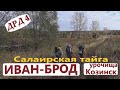 По урочищам КОЗИНСК и ИВАН-БРОД. Салаирская тайга. Осенний выход в тайгу сообщества ДРД4. Серия 2.