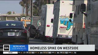 Homeless numbers see drastic increase in Westside, Harbor areas