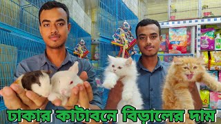 Persian Cat Price in Bangladesh | Katabon Animal Market | Mix Breed Cat Bangladesh | Katabon