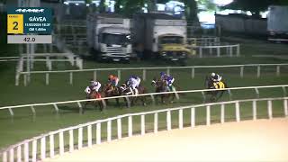 Vidéo de la course PMU PREMIO QUARTIER NOIR