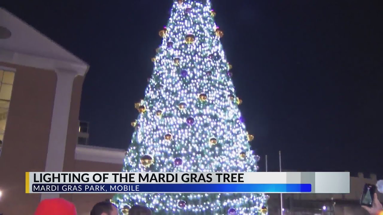 Annual lighting of Mobile's Mardi Gras Tree 