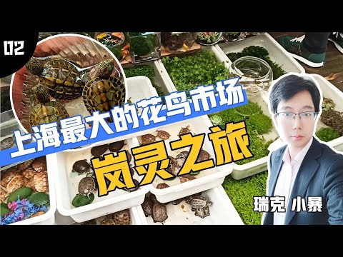 Video: Caojiadu Flower Market v Šanghaju