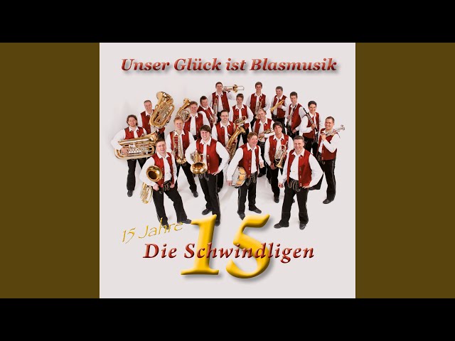 Die Schwindligen 15 - Musik macht Freu(n)de