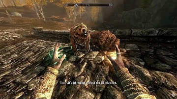 Skyrim Ai - Scrotus and the bear get Vengeance