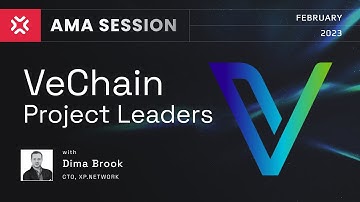 XP Talks - CTO Dima Brook at the VeCHain Project Leader Space