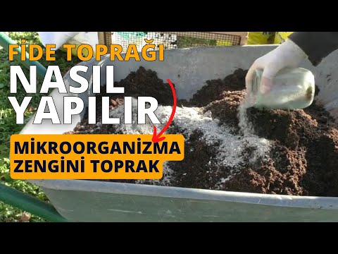 FİDELER için muhteşem bir karışım II fide yetiştirme toprağı