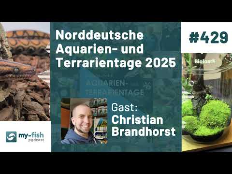 my-fish.org - Norddeutsche Aquarien- und Terrarientage 2025 — Messe-Report aus Hamburg (Christian B)