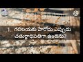 Telugu Bible quiz on Luka (లుకా) @  Chapter-3