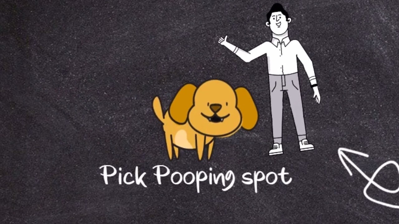 How To Train Dog Where To Poop And Pee Train Your Dog The Culture Of