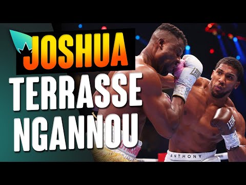 Anthony Joshua met KO Francis Ngannou !