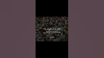 القرآن الكريم ربيع قلوبنا ونور صدورنا #القران_الكريم