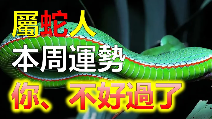 屬蛇人本周運勢如何？綜合運勢屬蛇人，屬蛇人對愛人和家人也要多體貼一些。屬蛇人不要吝嗇表現，本周的屬蛇人要遠離惰性，努力和辛苦都會是值得的，過早享受並不一定是好事情。2024生肖運勢，十二生肖（生肖蛇） - 天天要聞