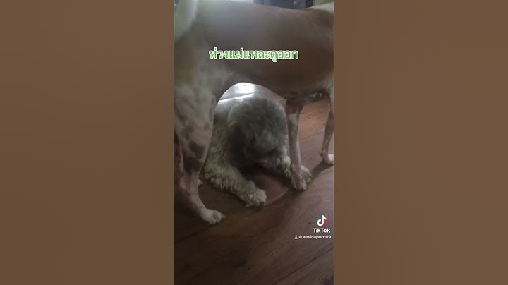 เมื่อแม่แกล้งร้องไห้ ชิโร่กับชินจังจะทำไง