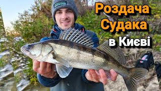 видео: Ловимо СУДАКА у Серці Столиці❤️. Судак в Києві✅. Рибалка в Жовтні на Дніпрі. картинка: Ловимо СУДАКА у Серці Столиці❤️. Судак в Києві✅. Рибалка в Жовтні на Дніпрі.