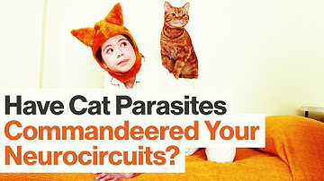 How Parasites Commandeer and Change Our Neurocircuits | Kathleen McAuliffe | Big Think
