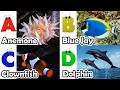 ABC phonics animals | ABC Sea Animals song | English and Animals for Kids | Alphabet Kid Song | Baby