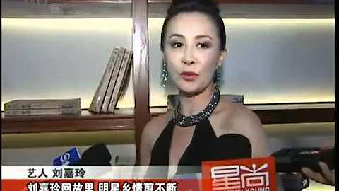 劉嘉玲低胸透視裙撈金 欲在蘇州養老 - 天天要聞