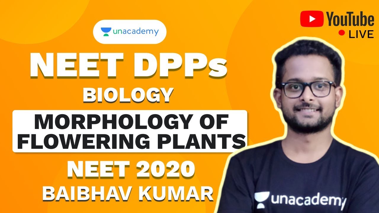 NEET 2020 DPP on Morphology Of Flowering Plants | Biology | Baibhav ...