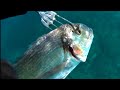 Pesca sub: la migliore tecnica nel periodo invernale con Concetto Felice by salvimar
