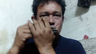 ayam den lapeh - ria Amelia cover harmonika @harmonicaplay