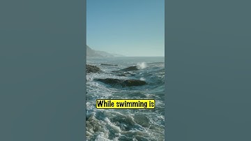 Beach Warning Flags Explained | Flag Facts