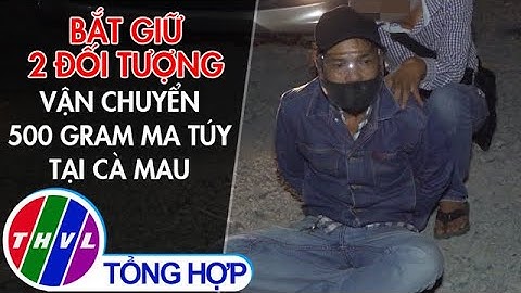 Bắt giữ 2 đối tượng vận chuyển 500 gram ma tuý tại Cà Mau