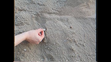 Dissonism - Human Recording, conceptual video art