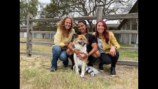 Laura Stinchfield, The Pet Psychic ®, talks with Frida, a rescue dog with prosthetics