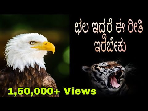 eagle essay in kannada