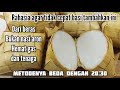 Cara Masak Ketupat Dari Beras Hanya Direbus 40 Menit & Tidak Cepat Basi, Padat & Matang Sempurna