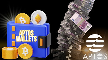 APTOS Blockchain - What Wallets to use and How to Download Aptos Wallet? | Meena