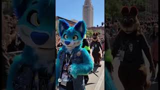 Who needs a lsu win when you have a furries parade downtown today #batonrouge #brproud