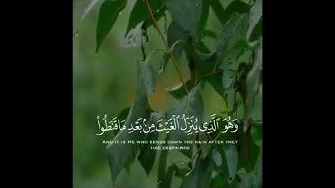 تلاوة جميلة للشيخ محمد المقحم ﴿وَهُوَ الَّذي يُنَزِّلُ الغَيثَ}