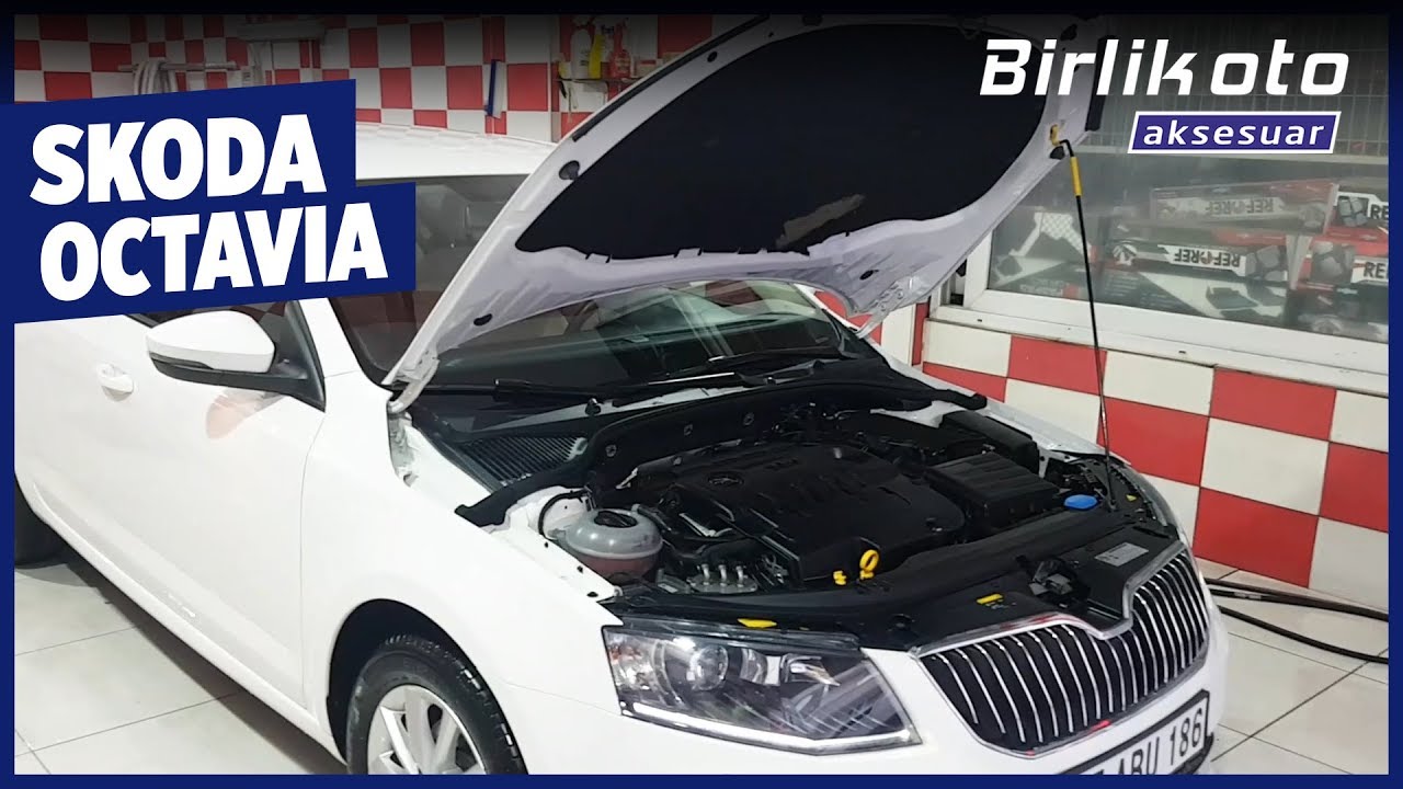 Skoda Octavia // Pasta Cila, Boya Koruma, Detaylı Temizlik, Motor Koruma
