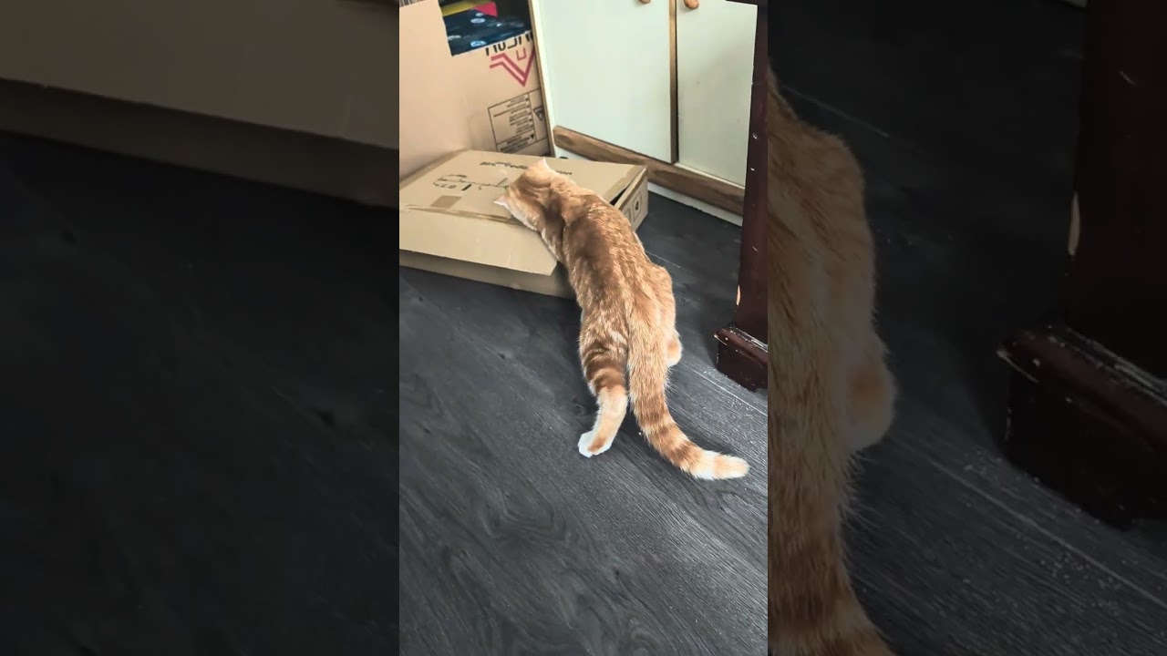 Roadrunner boxes 2026