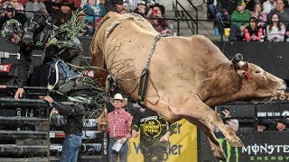 AND STAY OFF 😡: Heartbreak Kid Holds Current OUT RECORD | 2019