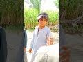 زين القناوي زين القناوي