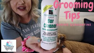 Quarantine Tips for Grooming Your Dog at Home | Covid19 Grooming Tips | Self Grooming Your Dog by Jenn's Pup ‘n Suds 489 views 4 years ago 8 minutes, 14 seconds