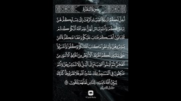 أحل لكم ليلة الصيام #سورة_البقرة #ماهر_المعيقلي #حامل_القرآن #إسلاميات #قرآن #شهر_رمضان #حالات_واتس