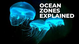 Ocean Zones — EXPLAINED