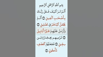 الم تر كیف فعل ربك باصحاب الفیل الم یجعل كیدهم  في تضلیل  سورة الفیل