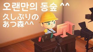 【모여봐요 동물의 숲】 오랜만의 청소 久しぶりの掃除