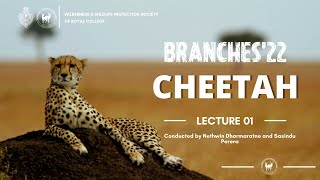 Cheetahs - Branches '22 Lecture Series - Lecture 01